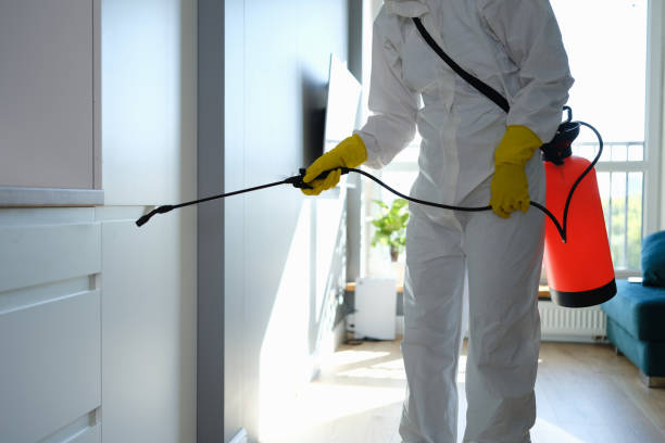 Best Mold Testing and Inspection Services in Goodwell, OK