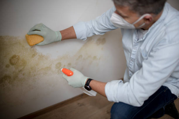 Best Bathroom Mold Remediation in Goodwell, OK