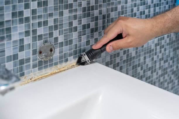 Best Mold Remediation for Specific Building Types in Goodwell, OK