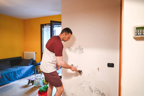 Best Black Mold Remediation in Goodwell, OK